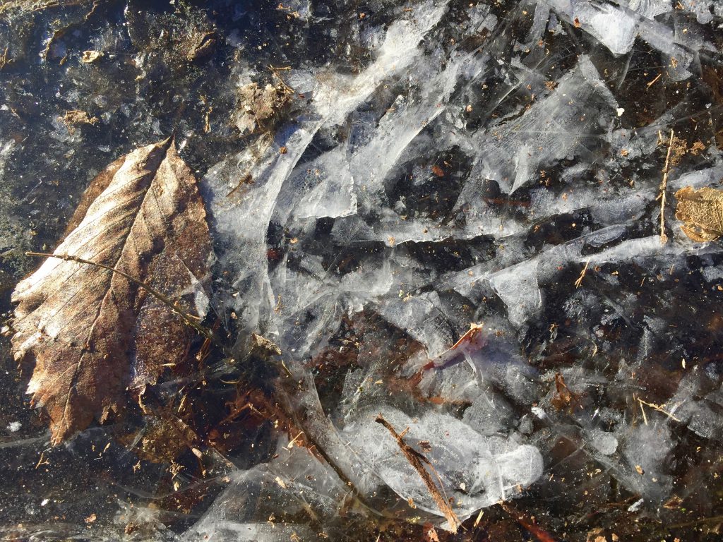 Eis | schokotexte.de
