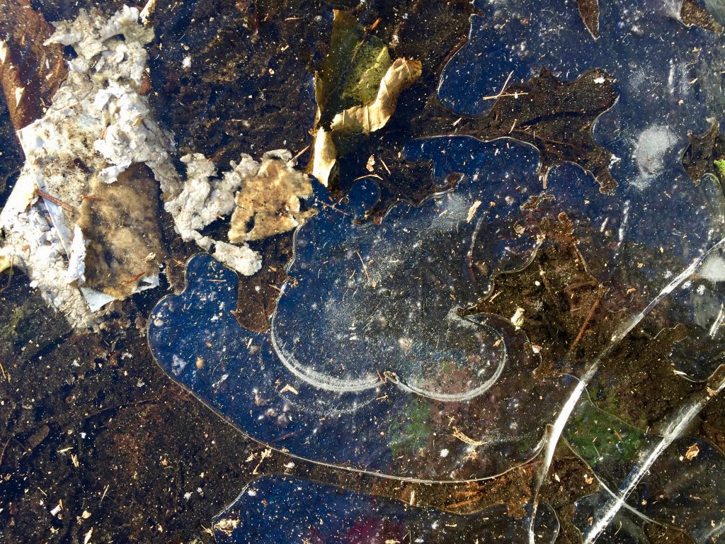 Eis | schokotexte.de